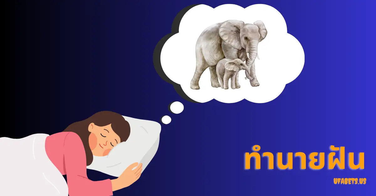 ฝันเห็นช้าง หมายถึงอะไร? ทำนายฝันพร้อมเลขเด็ดที่คุณต้องรู้!